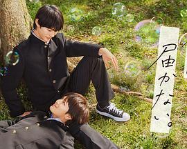 济南网站关键词优化软件